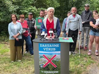 Aktivisti a obyvatelia Vlčieho hrdla upozorňujú na výrub stromov v chránenej lokalite Lužných lesov