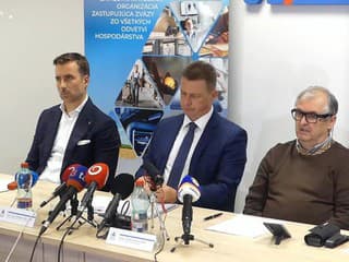 ANS preferuje, aby záchranky patrili pod urgetné príjmy
