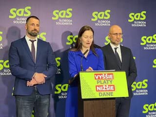 Tlačová konferencia SaS: Ficovej Potemkinovej dedine pri Šuranoch neverí už ani Taraba