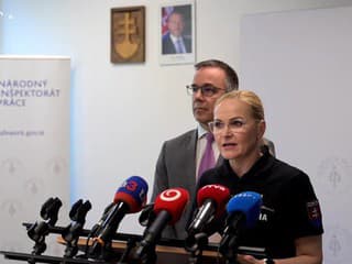 Maškarová o celoplošnej akcii na Slovensku proti nelegálnej práci