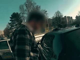 Video polície po nebezpečnej jazde vodiča baví internet: Načo pôjdem domov, spieval