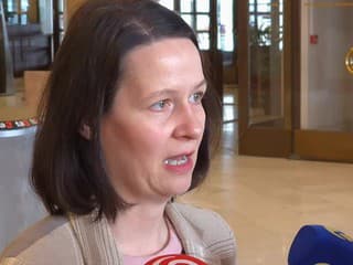 Zuzana Števulová o kontrole podpisov v petíciách