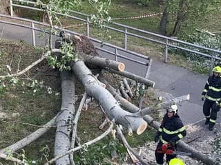 Popadané stromy na cestách pri hlavnom meste.