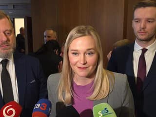 Reakcia SaS po výbore