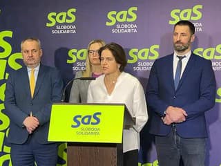 TK strany Sloboda a Solidarita: Manipulácia trestných konaní zo strany koalície