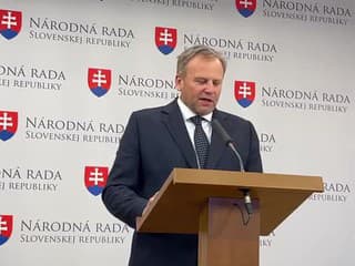 Tlačová beseda strany SaS: Ďalšie zlyhania splnomocnenca vlády pre rómske komunity