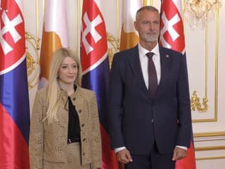 Predseda NR SR R. Raši prijal predsedníčku snemovne reprezentantov Cyperskej republiky A. Demetriovú