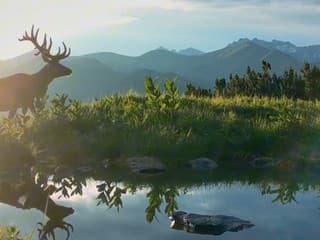 Ekotopfilm Tour mieri do Petržalky: Život v Karpatoch