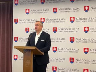 Tlačová konferencia predsedu SNS Andreja Danka k predčasným voľbám