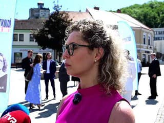 Súčasný župan nemôže hlasovať proti obyvateľom kraja, uviedla Svítková