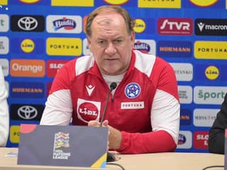 Tréner V. Weiss: Nad Moldavskom chceme zvíťaziť po dobrom výkone