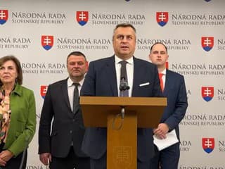 Vyjadrenie SNS k schválenému zákonu o slobodnom prístupe k informáciám