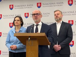 Tlačová konferencia strany SaS na aktuálnu politickú situáciu