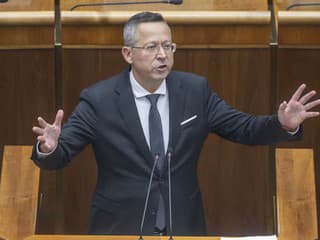 Šéf NKÚ Andrassy a minister Kamenický si v pléne ostrejšie vymenili názory na rozpočet
