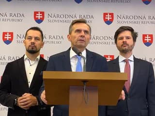 Tlačová konferencia Ľubomíra Galka (Demokrati) o aktuálnej politickej situácii
