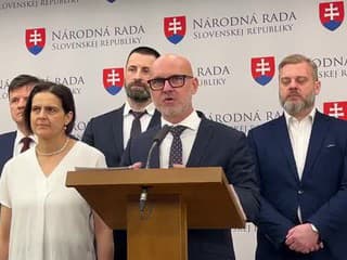 Tlačová konferencia strany SaS na tému: Zvolávame mimoriadnu schôdzu ku korupcii na Slovensku