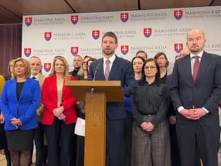 Tlačová konferencia Progresívneho Slovenska z NR SR