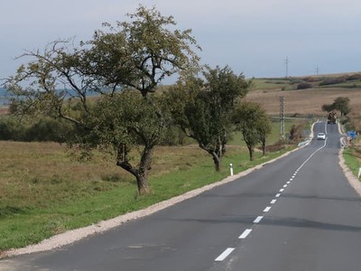 Zlatná na Ostrove 11. júna (TASR) - Nitriansky samosprávny kraj (NSK) pokračuje v modernizácii regionálnych komunikácií. V spolupráci s Regionálnou správou a údržbou ciest Nitra začína s projektom zvyšovania bezpečnosti na cestách II. a III. triedy.