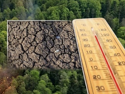Najbližšie týždne môžu na Slovensku priniesť jav, ktorý odborníci označujú za nebezpečný. Klimatológ Jozef Pecho z regionálneho klimatologického inštitútu Gospace Labs upozorňuje, že krajina sa môže dostať do situácie tzv. Hot Flash Drought – bleskového sucha, ktoré sa rozvinie prekvapivo rýchlo a s výraznými následkami.