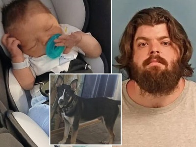Len sedem dní mal novorodenec Jason Anthony Weaver, keď ho v rodinnom dome v americkej Indiane napadol rodinný pes, utrpel pritom 180 pohryznutí. Kríženec huskyho a pitbulla Chomp chlapčeka zranil smrteľne. Jeho otec Austin Kinsey teraz dostal 16-ročný trest odňatia slobody v súvislosti so zanedbaním starostlivosti o syna.