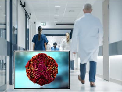 V Taliansku pribúdajú obavy zo západonílskej horúčky. V meste Qualiano pri Neapole zomrela 72-ročná žena, ktorá bola niekoľko dní hospitalizovaná v kritickom stave. Ďalší prípad zaznamenali v Umbrii, kde úrady okamžite pristúpili k opatreniam proti komárom. Nakazený človek je bez príznakov a v dobrom zdravotnom stave.