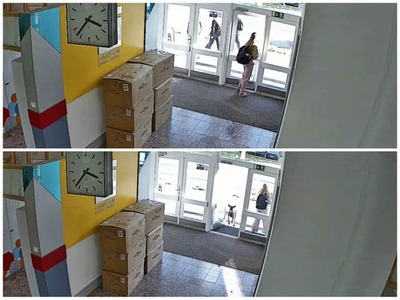 Žiaci aj zamestnanci Gymnázia Uherské Hradiště zažili situáciu, na ktorú zrejme tak skoro nezabudnú. Do školskej budovy totiž vbehol srnec. Celý incident zachytila bezpečnostná kamera.