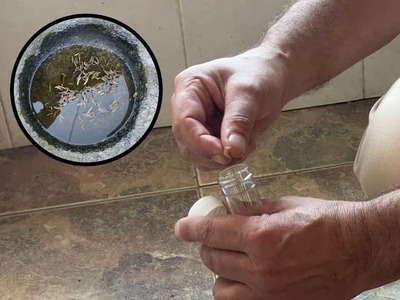 Obyvatelia malej dediny na severozápade Španielska prežívajú nepríjemné dni. Ulice, domy aj okolie obce zaplavili tisíce drobných čiernych červov, ktorých počet neustále rastie. Situácia je už natoľko vážna, že niektorí ľudia dočasne opustili svoje domovy a obávajú sa, že škodcovia čoskoro napadnú aj poľnohospodárske plochy.