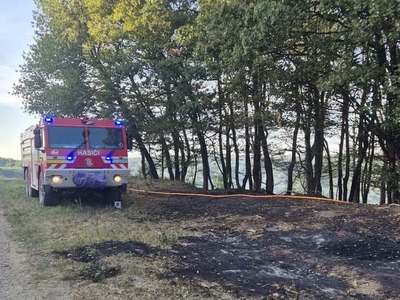 Pri požiari lesného porastu v Trstíne v okrese Trnava zasahuje takmer 50 hasičov. Na sociálnej sieti o tom informoval Hasičský a záchranný zbor.