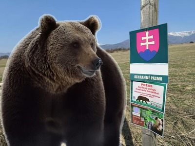 Medvede tento rok hlásili obyvatelia už v 57 slovenských okresoch. Aktuálna mapa ich výskytu odhaľuje výrazné rozdiely medzi regiónmi – kým na západe a juhu krajiny zostávajú rozsiahle oblasti bez jediného podnetu, na Liptove, strednom Slovensku či pod Tatrami ich evidujú stovky. Jednoznačne najviac hlásení prišlo z okresu Liptovský Mikuláš.