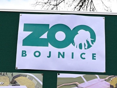 Bojnická zoologická záhrada informovala o tom, že im pravdepodobne počas noci ušiel lemur. Nachádzať sa môže v areáli zoo, ale aj mimo nej v blízkom okolí.