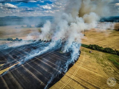 Hasiči zasahovali v utorok (21. 7.) popoludní pri požiari trávnatého porastu v katastri obce Sekule v okrese Senica. Požiar zasiahol plochu približne 21 hektárov. Podarilo sa ho zlikvidovať. Nevznikla žiadna škoda na majetku. Informoval o tom Hasičský a záchranný zbor (HaZZ).