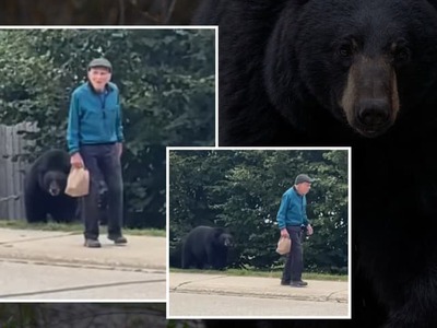Stačilo pár sekúnd a obyčajná prechádzka sa mohla zmeniť na poriadne nebezpečné stretnutie. Muž kráčal pokojne ďalej, zatiaľ čo sa mu len kúsok za chrbtom pohybovala veľká medvedica. Ľudia okolo neho nebezpečenstvo zbadali a snažili sa ho varovať. On však o ničom netušil.