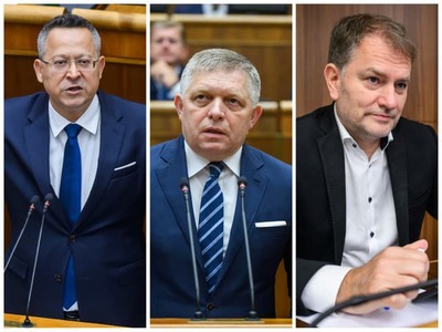 Napriek tomu, že vláda mala pred blížiacim sa letom naplánovaný už iný program, Ústavný súd všetky plány zrušil a rozhodnutím vyzval vládu na bezodkladné vyslovenie dôvery kabinetu v parlamente. Dôvodom je, že krajina sa zadlžuje a v takých prípadoch prichádza k slovu zákon o dlhovej brzde, ktorý má jasné mantinely. Tie uznal aj predseda vlády Robert Fico (Smer-SD) a po mimoriadnom rokovaní vlády pristúpi k mimoriadnej schôdzi aj parlament. Počas nej sa vláde bude vyslovovať dôvera.