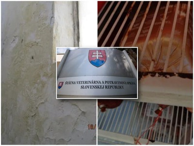 Predaj potravín po dátume spotreby, problémy s hygienou či nedostatky v označovaní. Potravinoví inšpektori počas augustových kontrol odhalili stovky pochybení. Padli aj pokuty v tisícoch eur, najvyššia dosiahla 14-tisíc eur. Informovala o tom na svojom webe Štátna veterinárna a potravinová správa (ŠVPS) SR.