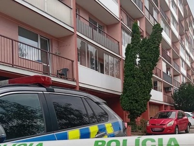 Polícia pre nález munície evakuuje miesto na sídlisku Dargovských hrdinov v Košiciach. Muníciu mala nájsť osoba v lesnom poraste a priniesť ju domov. S predmetom už nikto nemanipuluje. Policajti prijímajú všetky potrebné opatrenia na zaistenie bezpečnosti a spolupracujú s ďalšími záchrannými zložkami. Informovala o tom košická krajská polícia na sociálnej sieti.