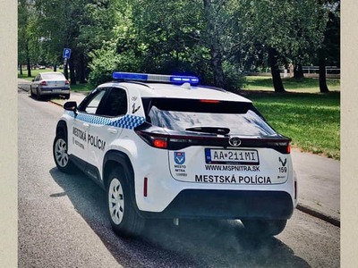 Nitrianski mestkí polícajti dostali oznam o agresívnom mužovi, ktorý sa údajne snažil udrieť deti zdržiavajúce sa v jeho blízkosti. K deťom sa správal vulgárne a nevhodne. Incident sa teda rozhodli preveriť.