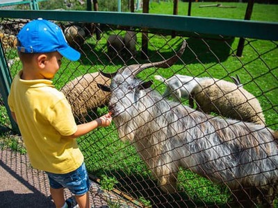 Bežná návšteva zoologickej záhrady skončila pre deti ako z hororu. Obe skončili na jednotke intenzívnej starostlivosti, pretože sa mali nakaziť nebezpečnou baktériou. Jedno z detí bude potrebovať transplantáciu, pričom baktéria mu napadlo aj mozog.