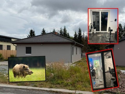 V západných Čechách došlo k prekvapivému a zároveň desivému incidentu. Do rodinného domu vtrhlo divé zviera, pričom mu nerobili problém ani zatvorené dvere. Po vpáde zvieraťa do objektu nastal chaos. Jeden z obyvateľov domu prišiel dokonca k škaredým zraneniam.