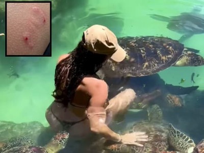 Známa influencerka zažila na dovolenke v Indickom oceáne niečo nečakané. Chcela sa len natočiť v jednej z lagún v blízkosti veľkých vodných korytnačiek. Po najnovšej skúsenosti zrejme bude mať pred nimi rešpekt.