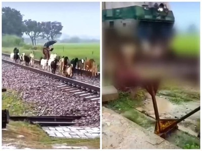 LUCKNOW – Približne tri desiatky kôz zahynuli po tom, ako do ich stáda na železničnej trati vrazila rýchliková súprava. Traja ľudia, ktorí sa v tom čase nachádzali v blízkosti zvierat, sa nebezpečnej situácii vyhli len vďaka rýchlej reakcii železničného pracovníka.