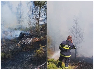 Hasiči aktuálne zasahujú pri požiari lesného porastu vo Vysokých Tatrách. Operačná dôstojníčka Krajského riaditeľstva Hasičského a záchranného zboru v Prešove potvrdila, že oheň sa rozhorel v lokalite pod Popradským plesom.