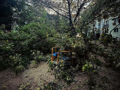 Na detské ihrisko plné detí v bratislavskom Ružinove spadol strom. Zranili sa tri deti, ktoré boli prevezené do nemocnice.