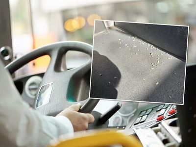 Cestovanie mestskou hromadnou dopravou prináša denne množstvo bizarných situácií, no incident, s ktorým sa na sociálnej sieti podelil šofér autobusu, vyráža dych. Hoci sa v dopravných prostriedkoch dlhodobo propaguje základná etiketa – ako je nevyzúvanie sa, nepočúvanie hlasnej hudby či nekonzumovanie zapáchajúcich jedál – kreativita niektorých ľudí nepozná hraníc. Príbeh o nečakanej “skrášľovacej procedúre“ jednej z cestujúcich vyvolal u verejnosti obrovskú vlnu znechutenia.