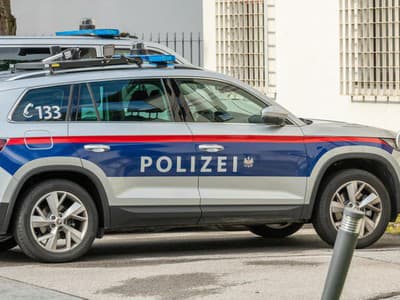 Z Múzea úžitkového umenia (MAK) vo Viedni bol ukradnutý cenný diamantový náhrdelník, oznámila vo štvrtok rakúska polícia. Šperk, ktorý má podľa odhadov hodnotu niekoľkých miliónov dolárov, kedysi patril egyptskej kráľovnej Názlí Sabríovej, napísala agentúra DPA.