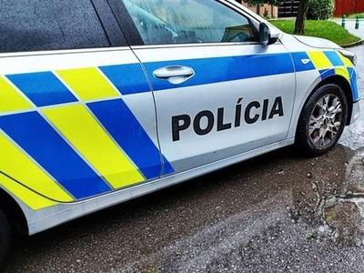 V Bratislave sa v pondelok uskutoční taktické cvičenie zásahových zložiek polície s názvom Aktívny strelec. V okolí Kozej a Panenskej ulice sa tak bude pohybovať väčší počet policajtov. Verejnosť môže zaznamenať simulované výstrely z výcvikových zbraní, nebezpečenstvo však nehrozí. Informuje o tom polícia na sociálnej sieti.