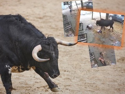 Dramatické chvíle zažil starší muž v Indii, na ktorého zaútočil agresívny býk, keď držal v náručí svojho malého vnuka. Zviera ich zrazilo na zem a následne opakovane útočilo na muža rohmi. Dieťa zostalo ležať vedľa neho a len o vlások uniklo tomu, aby ho býk pošliapal.