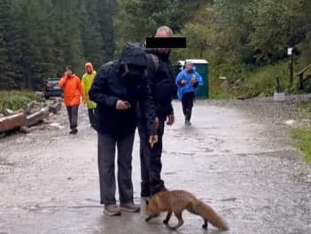 Poburujúce VIDEO dvojice turistov: Konanie, ktoré predviedli, spôsobuje problémy