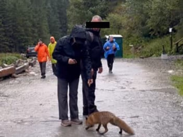 Poburujúce VIDEO dvojice turistov: Konanie, ktoré predviedli, spôsobuje problémy