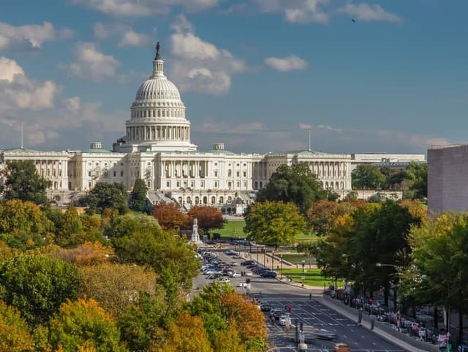 Štyri úplne nové metropoly: Architekti prišli uprostred džungle a močiarov o všetky ilúzie