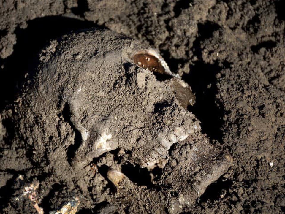 Zuby potvrdili šokujúcu skutočnosť: Ľudia užívali drogy už pred 25-tisíc rokmi